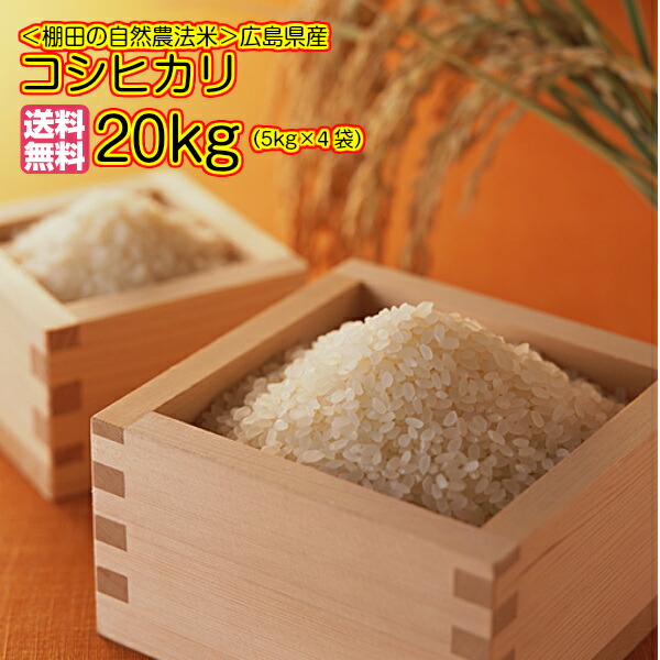 【楽天市場】中生新千本 30kg 5kg×6無地袋 送料無料広島県産中生新