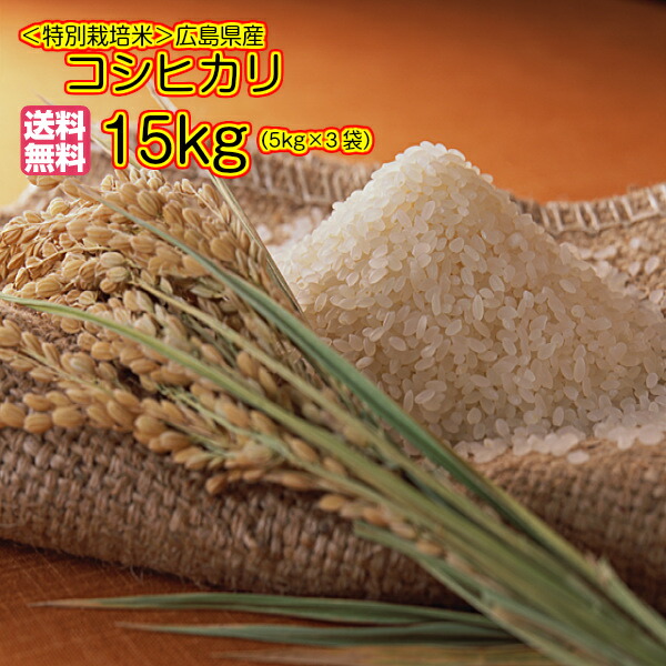8039円 OUTLET SALE 送料無料 広島県産コシヒカリ15kg 玄米 特別栽培米 金の袋 令和3年産 1等米