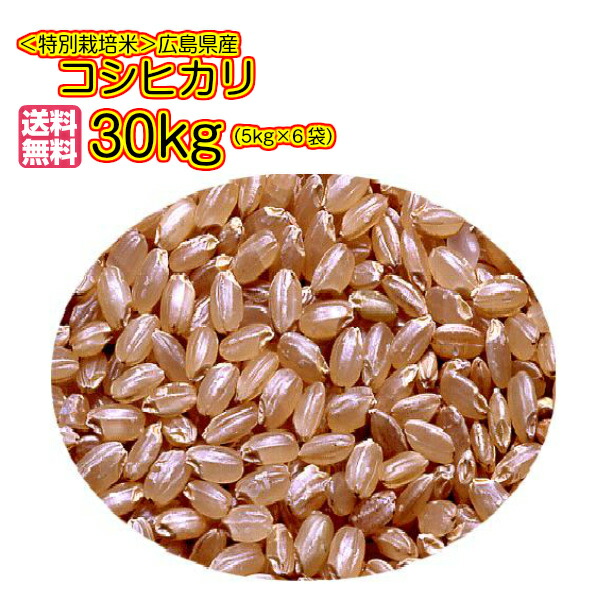 しいお 玄米4年産滋賀県コシヒカリ1等 30kg (1袋)× 2【袋販売】 ですので