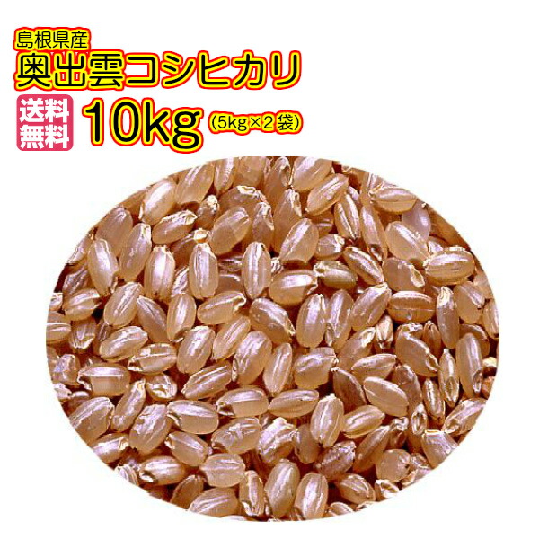 奥出雲コシヒカリ 10kg 送料無料 5kg×2 玄米 赤袋3セット購入で3セット目無料2セット購入で2セット目半額 島根県産 令和3年産1等米 新米  最大72%OFFクーポン