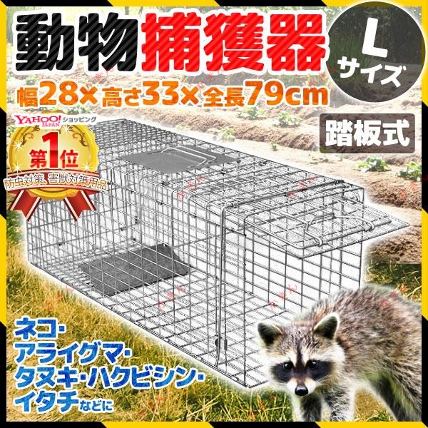 楽天市場】小動物捕獲器 箱罠 アニマルトラップ LT-4型 未来のアグリ 