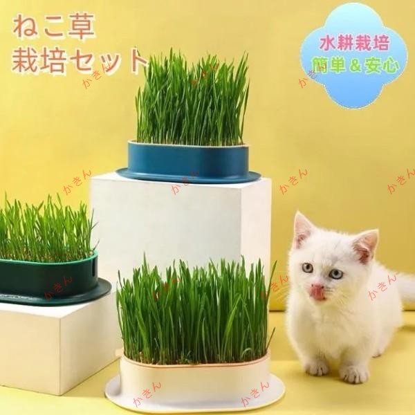 猫草ページ、他の方はご遠慮ください Amazon.co.jp: ハリオ (HARIO) なし猫草栽培キット にゃんベジ