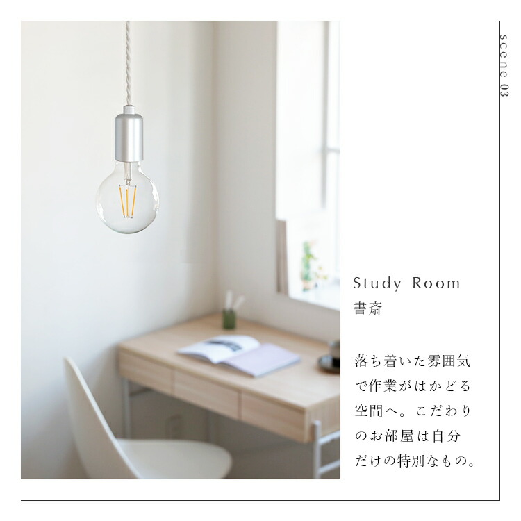 ペンダントライト レーゲン シーリングタイプ 2点セット ペンダント