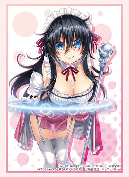 ブシロード スリーブコレクション ハイグレード Vol.4171 電撃文庫 ネトゲの嫁は女の子じゃないと思った？ 玉置亜子 Part.3 スリーブ画像