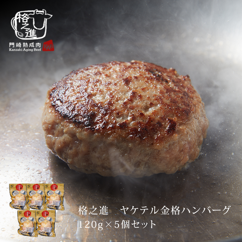 ハンバーグ レトルト 湯煎 ギフト 肉 格之進 ヤケテル金格 5個 セット 温めるだけ 冷凍