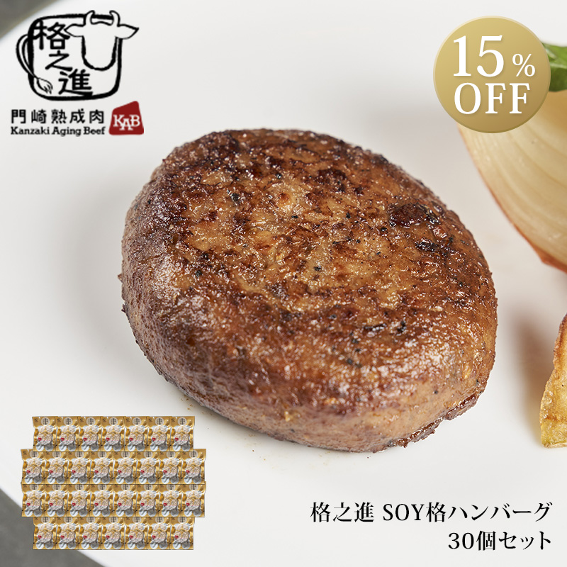 定価 格之進 SOY格 30個セット 大豆ミート ハンバーグ ギフト 国産 送料無料 冷凍 ダイエット fucoa.cl