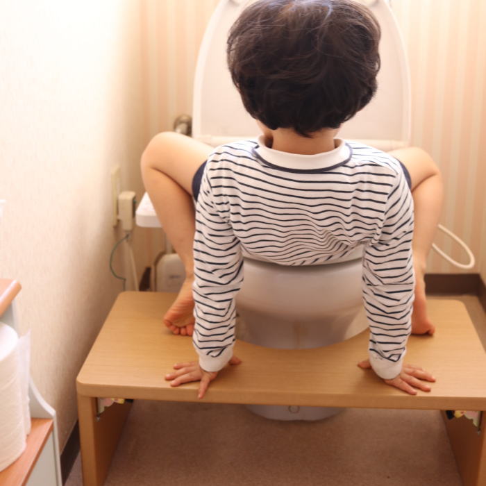 トイレの踏み台トイレトレーニング洋式便座