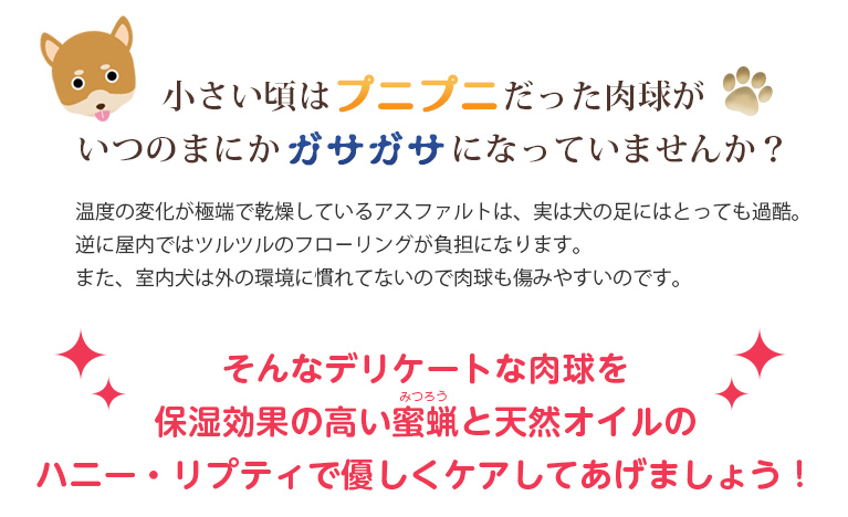 愛犬 愛猫用 肉球クリームhoney Repetit ハニー リプティ Crunchusers Com