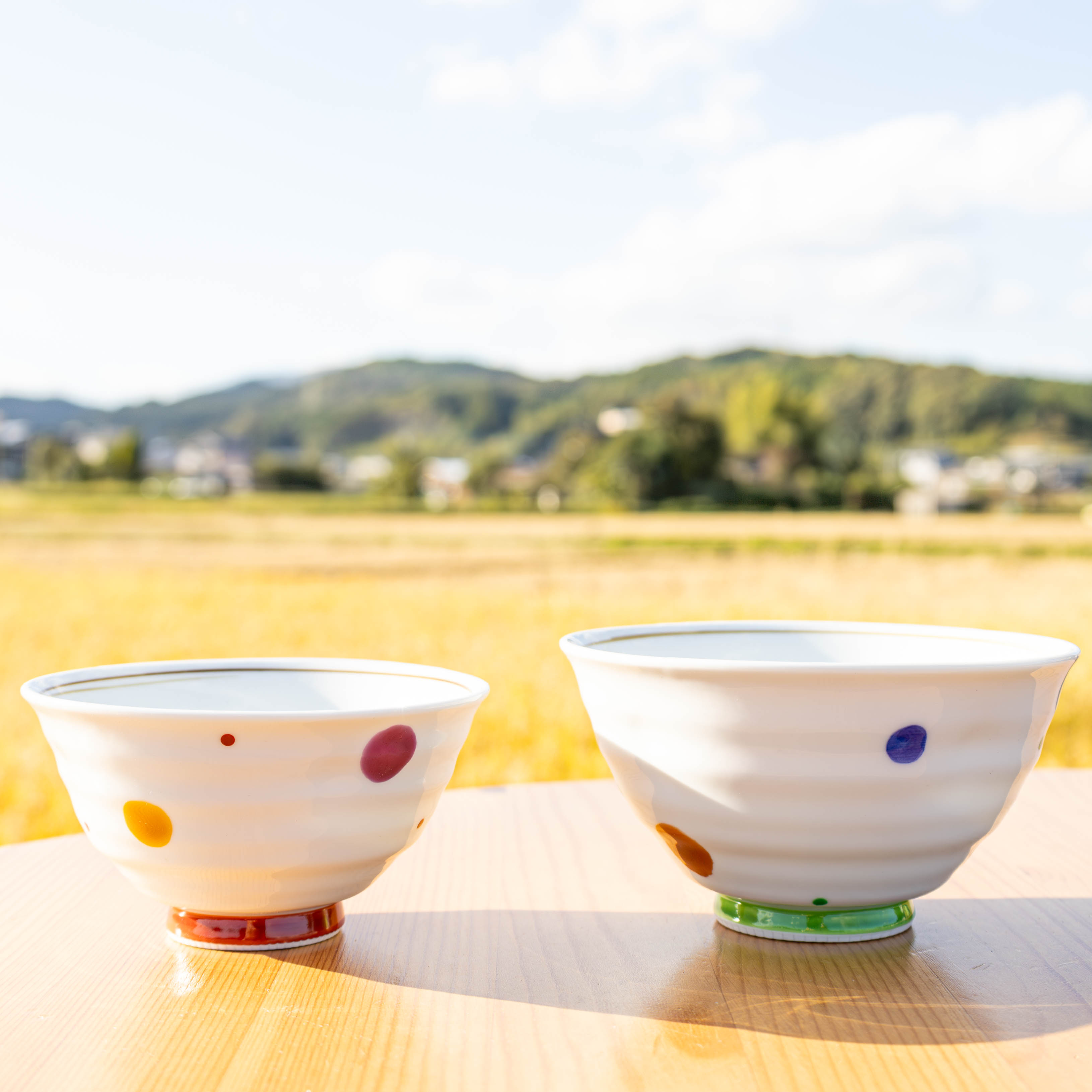 楽天市場】【大陶器市 最大69%オフ+クーポン大量☆】 陶器 市 2026