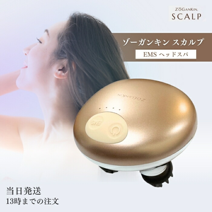 楽天市場】ゾーガンキンスカルプ ZOGANKIN SCALP 頭皮ケア EMS