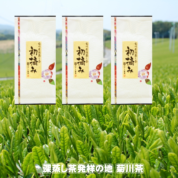 楽天市場】【新茶発送できます】2023年産【740円お得】お茶 一番茶