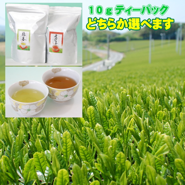 たっぷり１０ｇティーバッグ 【緑茶】【ほうじ茶】 どちらか選べます！ どちらも選べます！ティーバッグ １０ｇｘ７０個（３５ｘ２袋セット） 使いやすいチャック袋 送料無料 お茶 業務用 緑茶 ティーパック