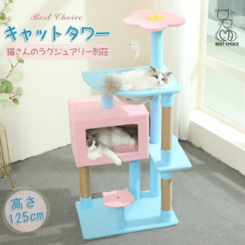 楽天市場】【スーパーSALE限定×10%OFF】【透明宇宙船付き】送料無料