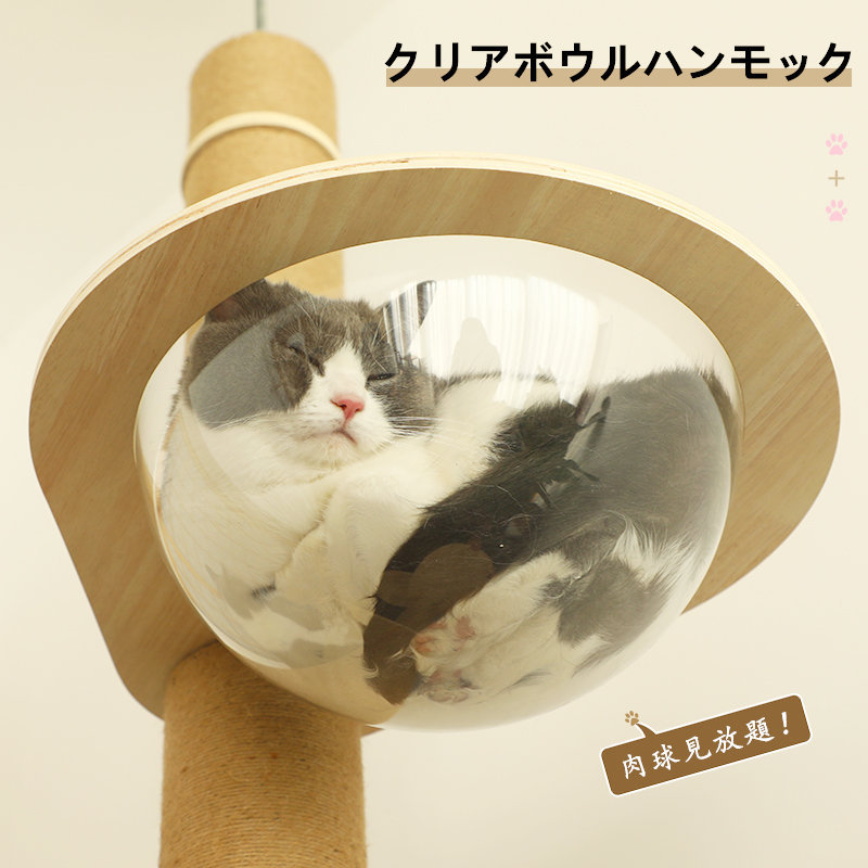 楽天市場】【お得なクーポン有り】肉球見放題 猫ハンモック【耐荷重