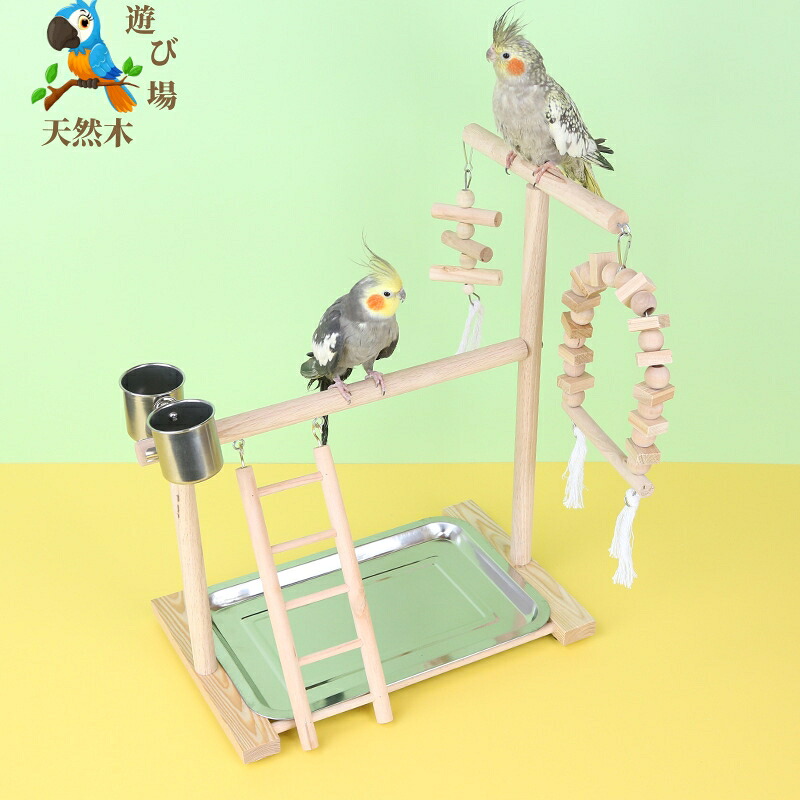 楽天市場】【マラソン限定×全品5％クーポン有り】インコ おもちゃ