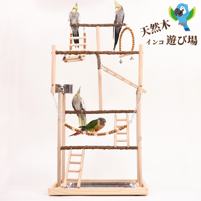 az　バードアスレチック　バードトイ 楽天市場】インコ 遊び場 インコ おもちゃ 止まり木 スタンド