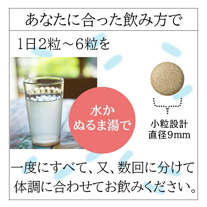整腸