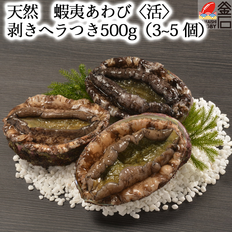 手数料安い 天然 蝦夷あわび〈活〉 500g 3~5 個 剥きヘラつき ヤマキイチ商店 fucoa.cl