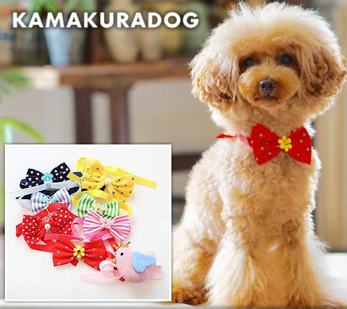 楽天市場 鎌倉dog 犬猫 チョーカー ｃｕｔｅチョーカー 鎌倉dog2号店