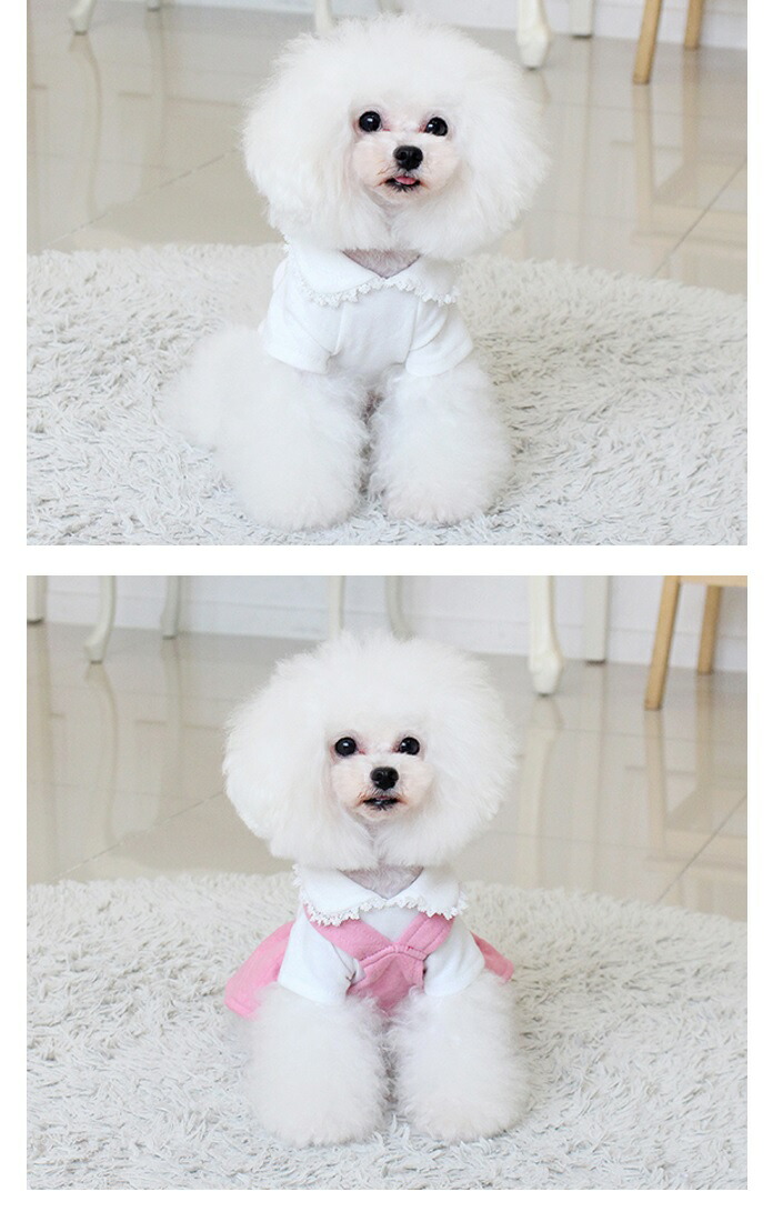 上品 シンプルカットソー Www Viksjoen No