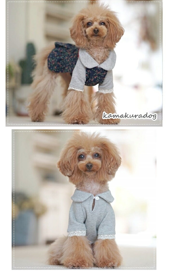 上品 シンプルカットソー Www Viksjoen No