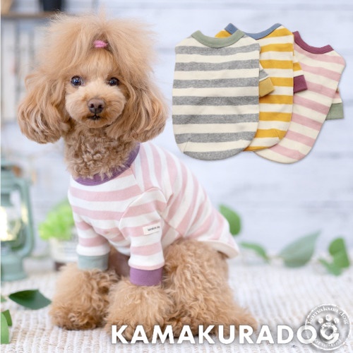 Amazon.co.jp: セーター かわいいコーギー犬 長袖 プルオーバー