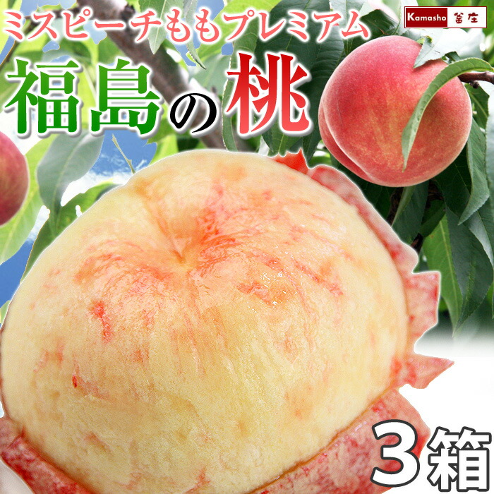とむ2623様用　福島県産　桃　あかつき秀級品　3kg ☓2 18.png