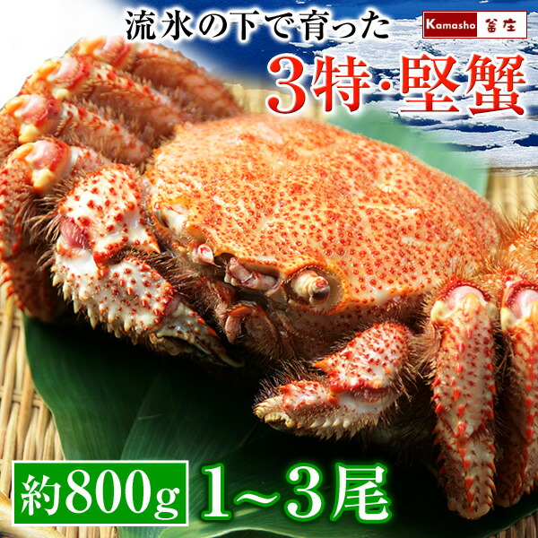特大 毛蟹 毛ガニ かに 姿 【流氷の下で育った 3特堅蟹 姿毛がに 1尾あたり約800g】 毛がに 堅蟹 北海道 オホーツク ボイル冷凍 大型サイズ