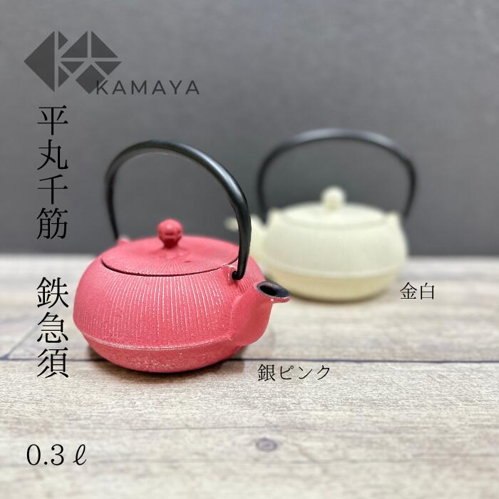 鉄瓶急須 南部鉄器 鉄瓶 ピンク アンシャンテジャポン カラーポット