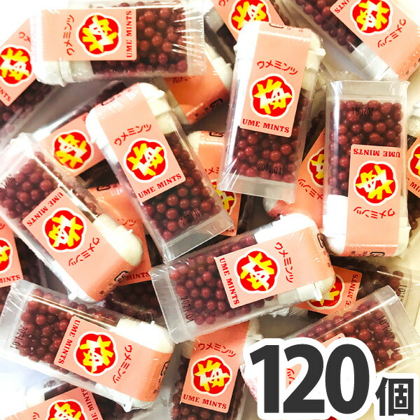 【梅ミンツ様】専用 楽天市場】【ポスト投函・メール便】【全国送料無料】オリオン