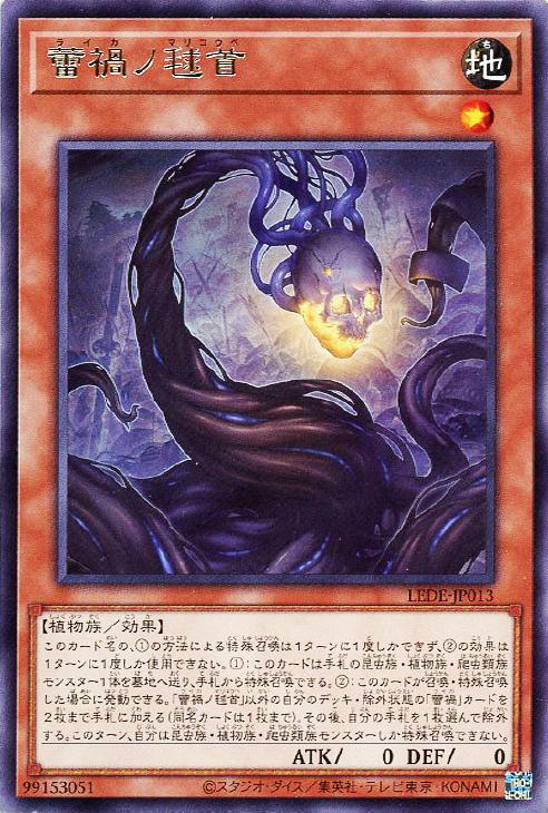 楽天市場】遊戯王 INFO-JP048 ノーマル リンクモンスター