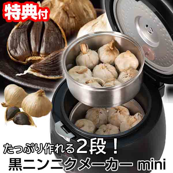 MIX　生ニンニク　約4.5kg 2025年収穫】栄養ギュっ！「自然栽培」発酵熟成☆黒にんにく【球