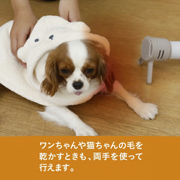 市場 衣類ふとんドライヤー 布団ドライヤー ドライボックス Drybox 衣類ドライヤー Be 布団乾燥機 ペットドライヤー 靴乾燥機 Cb Db01 乾燥機