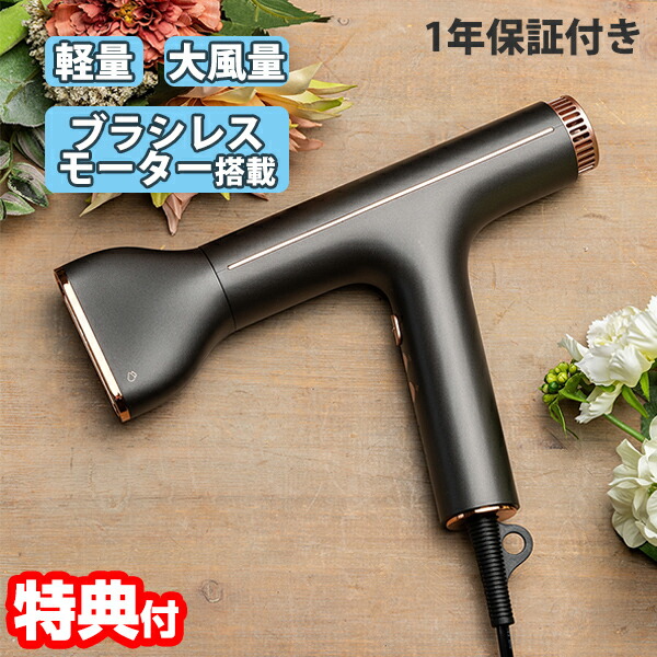 かっこ良いイオン ウォーターヘアードライヤー AX-固定ディスク1 ブラシレスモーター 積み上げる ご機嫌力強さ いけ図々しい量 静音 低耳障りな音 軽さ かっこ良いお水 イオンヘアドライヤー 風量ドライヤー 逆吹き付ける 洗い濯ぎ 好いたらしい ろ波器 洗い濯ぎ ウォーターイオンドライヤー [月/入荷]
