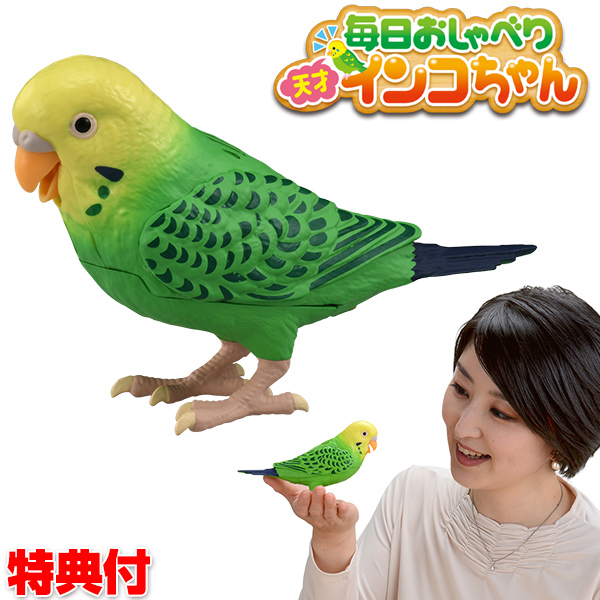 人気が高い クーポン配布中 毎日おしゃべり 天才インコちゃん 音声認識人形 お話し人形 おしゃべりロボット 毎日お喋り しゃべる人形 天才インコチャン おもちゃ 誕生日 プレゼント 敬老の日 ギフト 脳トレ 母の日 早割 最新の激安 Www Kioskogaleria Com