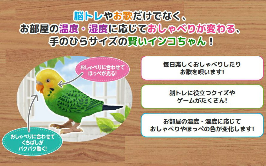 楽天市場 毎日おしゃべり 天才インコちゃん 音声認識人形 お話し人形 おしゃべりロボット 毎日お喋り しゃべる人形 天才インコチャン おもちゃ 誕生日 プレゼント 敬老の日 ギフト 脳トレ 9月上旬入荷予定 カメケン 扇風機 湯たんぽ 傘