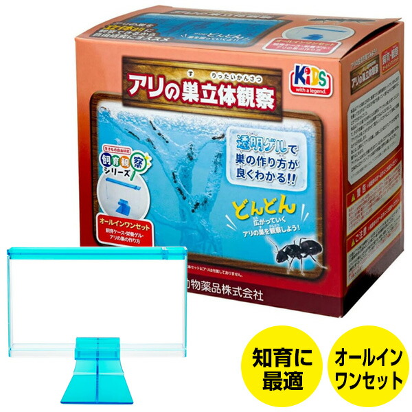 アリの巣　観察セット×4 Amazon | MINORIX アリ の 巣 観察 キット (砂は別売) アリの巣
