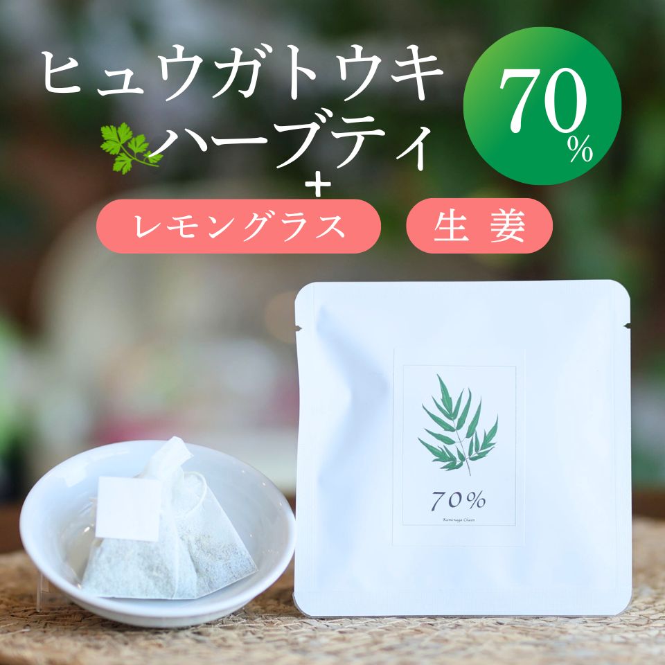 【楽天市場】ヒュウガトウキハーブティー70％【ティーパック】2包･7包･20包 日本山ニンジン にほんやまにんじん ヒュウガトウキ 自社農園