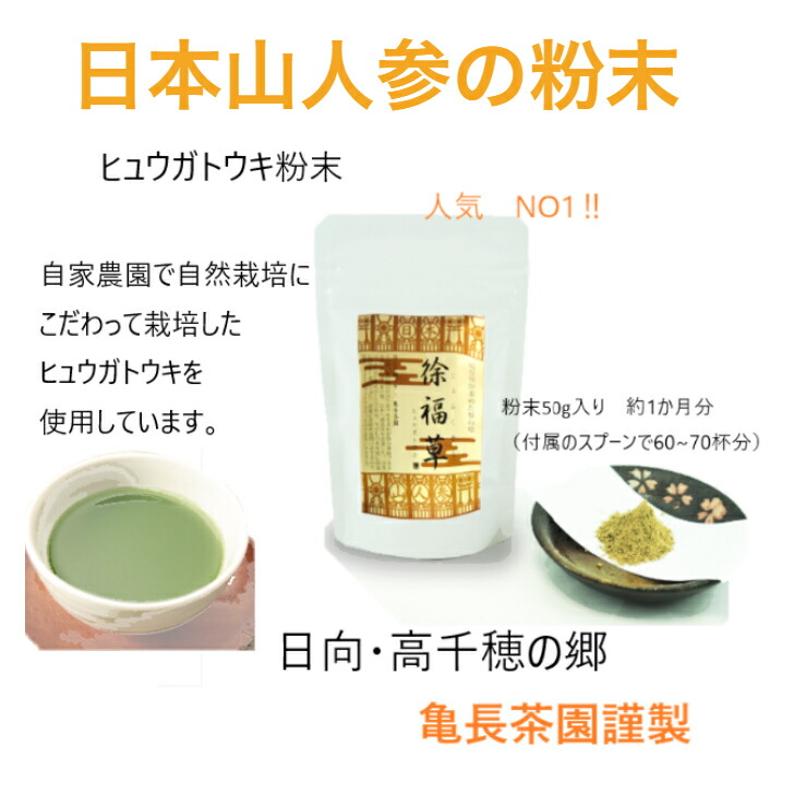 日本山人参宮崎県産日本山人参茎・葉 使用純粋 粉末 無添加 日本山人参 ...