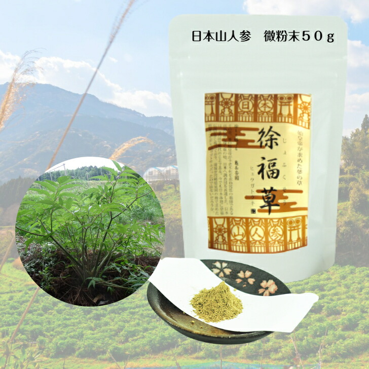 日本山人参宮崎県産日本山人参茎・葉 使用純粋 粉末 無添加 日本山人参 ...