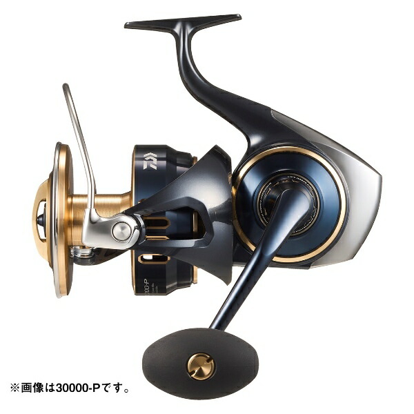 ダイワ [90] 25 ソルティガ 30000-H 2026年加えること機種 (G1)