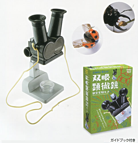 楽天市場 自由研究キット双眼顕微鏡観察実験キット Q 紙 文具 ひかり