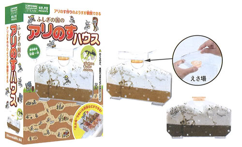 楽天市場】【P最大47倍&クーポン】アリの巣立体観察セット ニチドウ