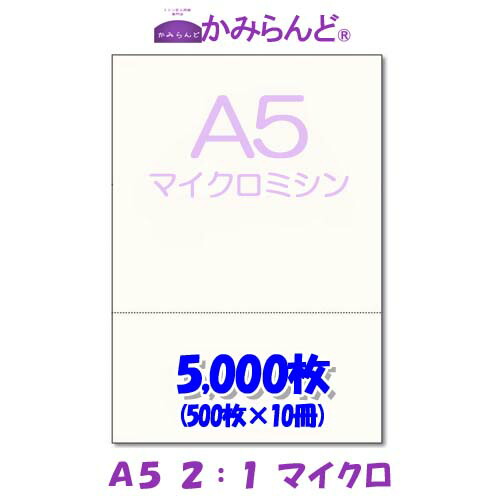 【A5】2:1  マイクロミシン目入り口・入口質問用紙 5000枚 御膳上等御膳上等転写物質問用紙 ミシン目質問用紙  各種帳票 勘定書き用にミシン至要たる紙 帳票質問用紙2面 はね除ける紙