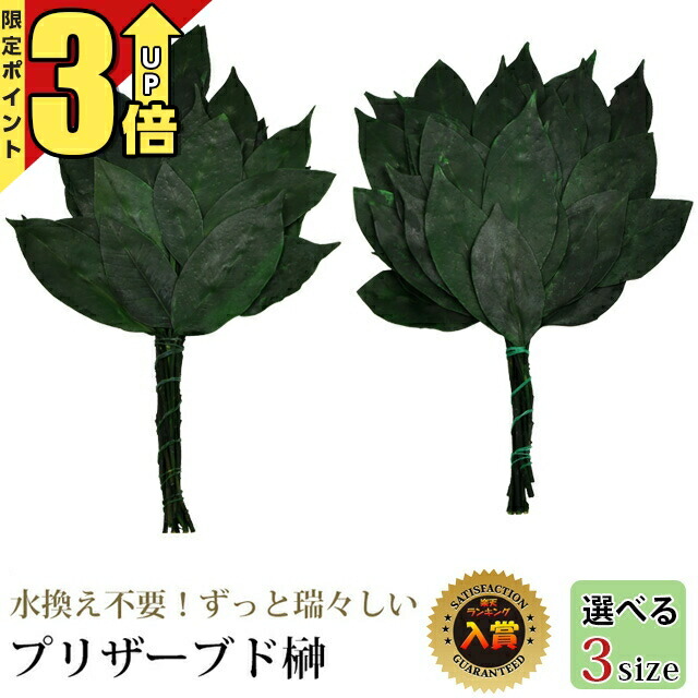 【P3倍★マラソン限定】神具 【1位】 榊 サカキ セット プリザーブド榊 1対（2本セット） 『選べる3サイズ ミニ・通常・大サイズ』 神具 造花 人工榊 仏花 セット 神籬 お供え 物 神撰 神棚