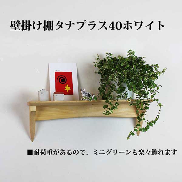 イオリスペース 仕立て上げる調度品