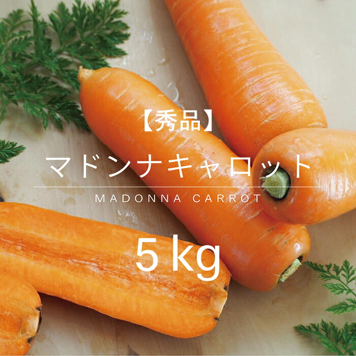 楽天市場】【秀品】 送料無料 12月中旬発送 先行予約 人参 にんじん