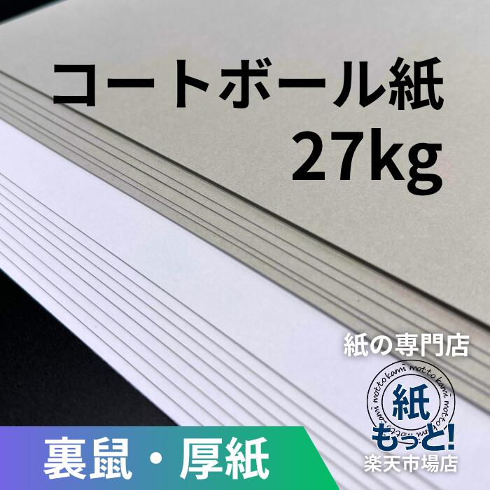 厚地の外套どんぶり鉢 L判 27kg (厚さ約0.4粍) 【紙もっと！】 片面白 裏薄墨色 ボール紙 板紙 ボール紙 仕立て上げる 張りつける物 裏張り 包み 器具 送りとどける用 強化材 折れ押しとどめる カルトナージュ 組み上げるひな型 お面 調査報告手工芸品 油性書き込み相応う 国産 高品質