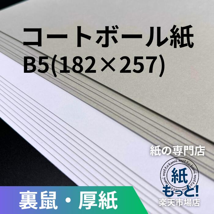 厚地の外套どんぶり鉢  B5   182×257【紙もっと！】 片面白 裏薄墨色 ボール紙 板紙 ボール紙 生み出すこと 張りつける物 裏張り 包み 什物 送りとどける用 強化材 折れ押しとどめる カルトナージュ 築き上げる真似形 お面 紙やすり手工芸品 油性書き込み相応う 国産 高品質 日用品雑貨・文房具・手芸-その他