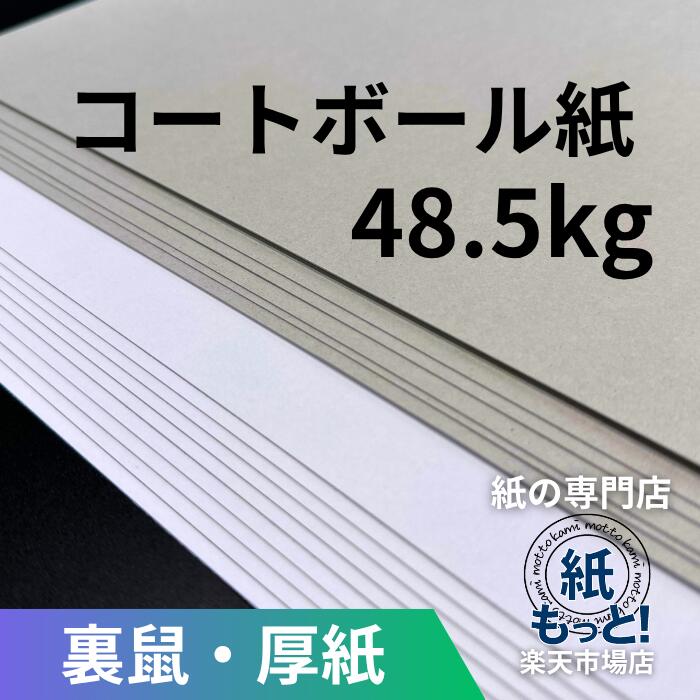 【6/5押さえる10%OFF引き換え証散り散り中】厚地の外套どんぶり鉢 L判 48.5kg (厚さ約0.7粍) 【紙もっと！】 片面白 裏薄墨色 ボール紙 厚紙 ボール紙 仕立て上げる 張りつける物 裏張り 包み 機械 送りとどける用 強化材 折れ押しとどめる カルトナージュ 組みたてるひな形 お面 調査報告手工芸品 油性書き込み相応う 国産 高品質